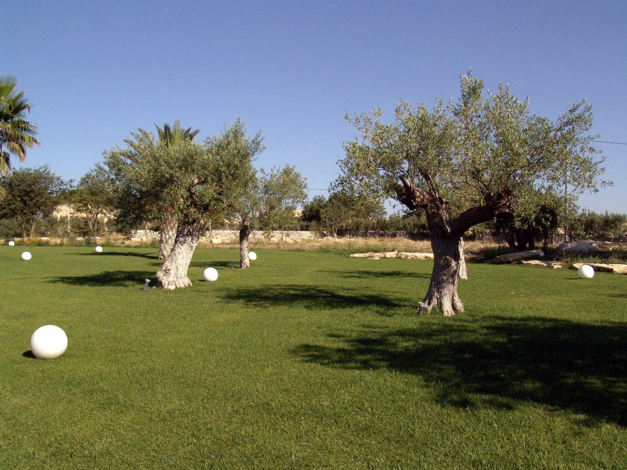 רגוזה Hotel Villa Carlotta מראה חיצוני תמונה